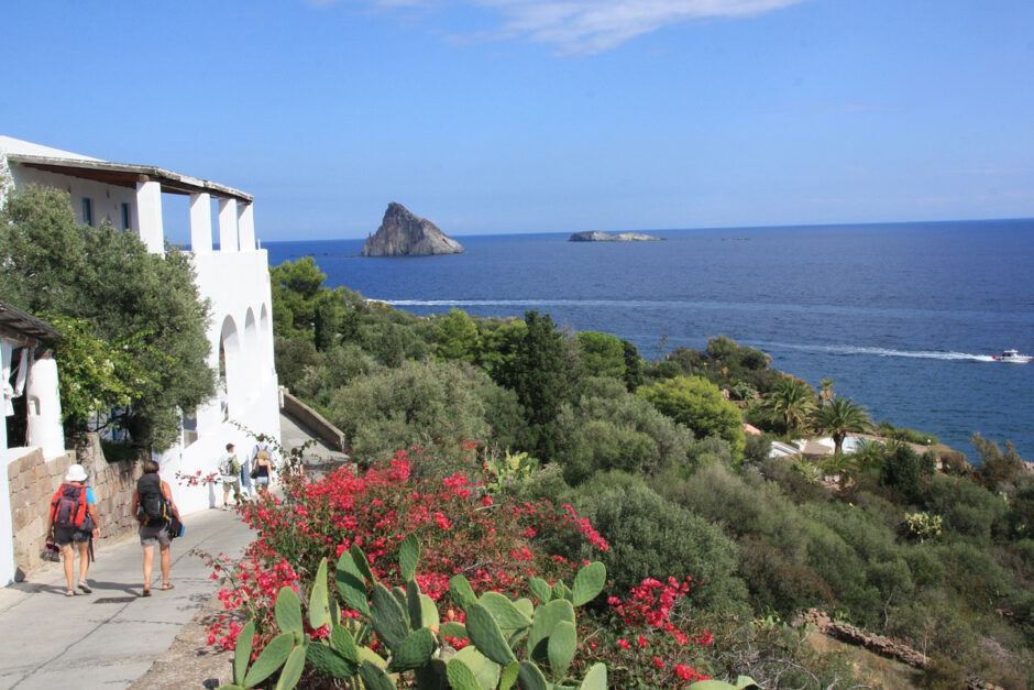 flora-eoliana-hotel-pinnata-lipari.jpg