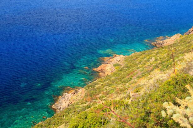 filicudi-primavera-hotwl-pinnata-lipari.jpg